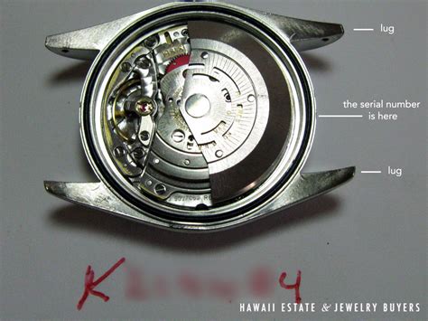 rolex models vs years|rolex years by serial number.